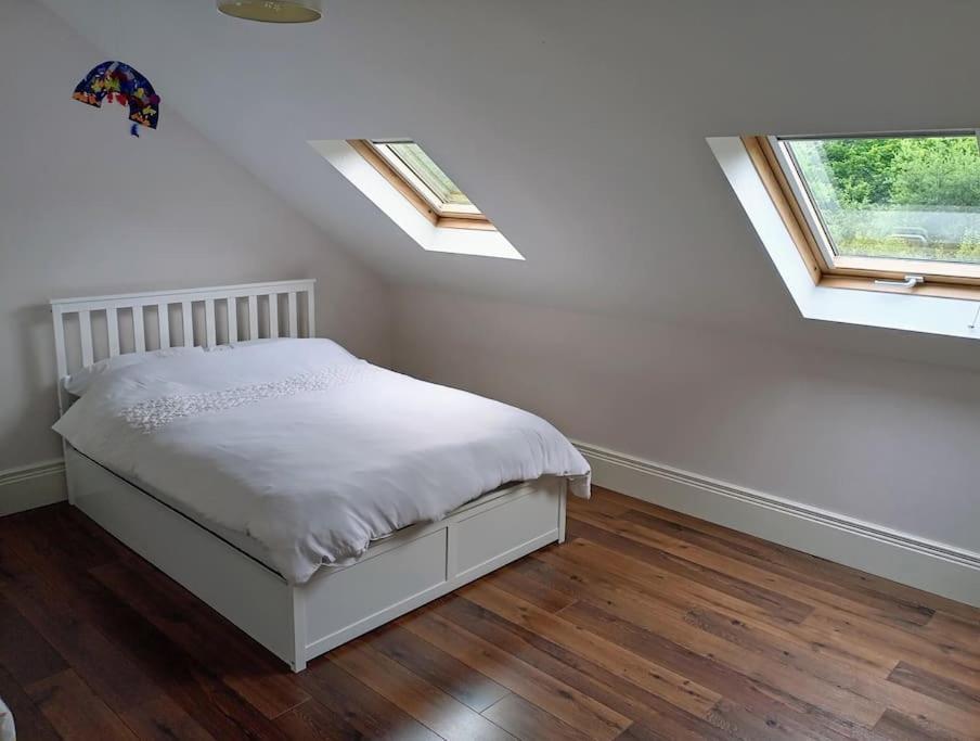 Conveniently Located House To Enjoy All Of Kerry Тралий Екстериор снимка